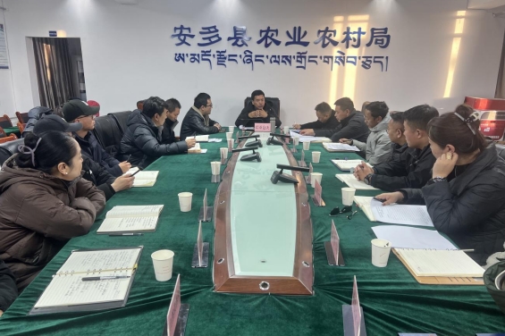 安多县召开第四季度农牧民增收工作调度会.png