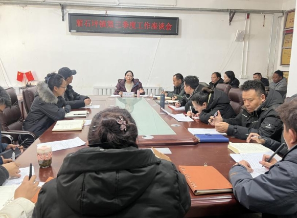 安多县雁石坪镇召开第三季度工作座谈会.png